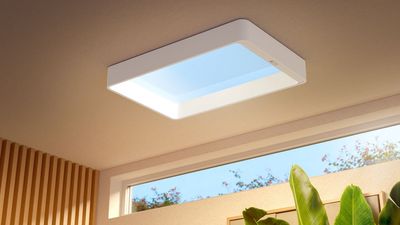 The Philips Skylight arrived with an expensive price tag — here are some cheaper alternatives that won't break the bank