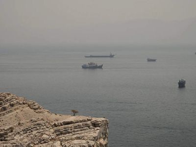 Strait of Hormuz transit will take 'weeks' to resume, largest tanker operator tells FT