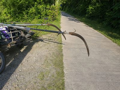 Student dies in freak accident, palm sickle slashes his throat