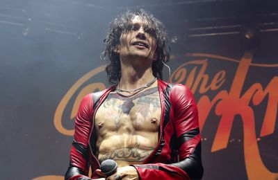 Justin Hawkins blames phones for stage dive fall