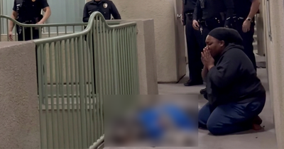 LAPD Under Fire After Fatal Shooting of Dog Jameson as Owner Marie Marseille Denies He 'Charged' Officers