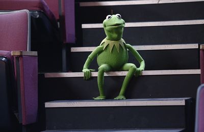 The Muppets join Marvel Universe for 'iconic' crossover
