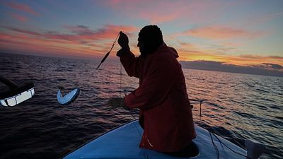 'I'll have to buy new nets': Killer pufferfish are devastating Crete's fishing industry