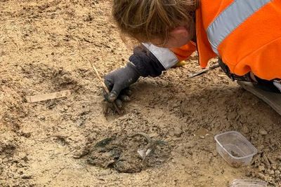 Unearthed ‘princely grave’ offers new insights into Iron Age customs