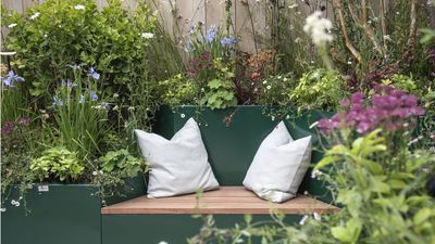 This Natural Product Will Keep Ticks, Mosquitoes, and Ants Out of Your Yard All Summer Long – And it Even Makes a Patio Smell Great