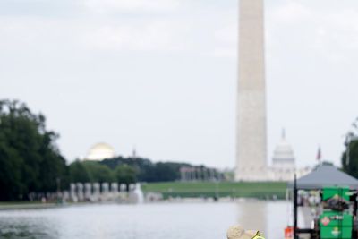 Trump admin points finger at Obama as algae takes over reflecting pool