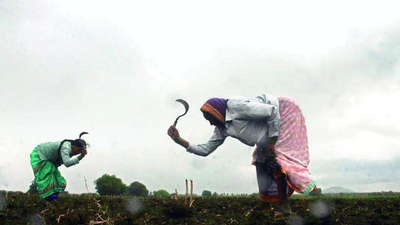 El Nino to hit 9-10 states severely; Chouhan calls for district-level contingency plans for Kharif