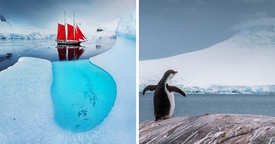 This Photographer Captured 42 Dreamlike Images Of Antarctica