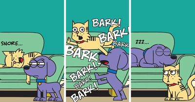 I Illustrate The Hilarious Reality Of A Rescue Dog And A Cat Living Together (25 New Comics)