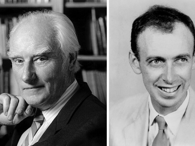 In 1953, scientists pieced together a twisted molecule, and DNA finally had a shape