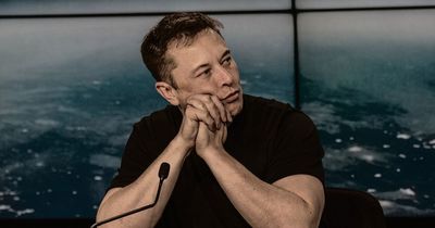 Elon Musk Shock: Democrat Claims Trillionaire Is 'Scared' To Face Subsidy Questions