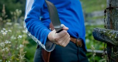 'Yo, I'm a Murderer': Teen's Shocking Google Search, Claims After 'Accidentally' Fatally Stabbing Young Girl, 9