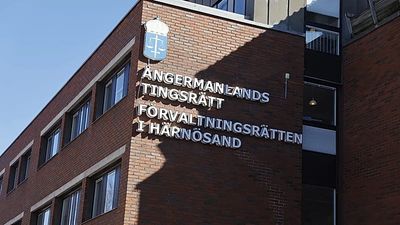 Swedish court imprisons man convicted of pressuring his wife to sell sexual services