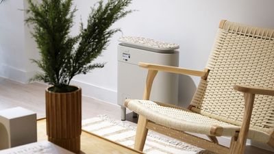 This new plug-in home battery stores cheap off-peak energy and powers your home later on – no installation needed