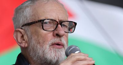 Jeremy Corbyn slams inaction as illegal Israeli settlements promoted at London event