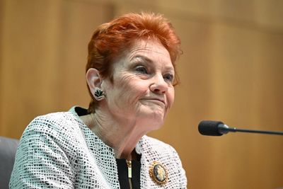 One Nation’s health policies based on misconceptions and may cost the taxpayer, experts warn