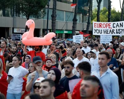 What Jared and Ivanka want, Jared and Ivanka get? Not if Albania’s ‘flamingo revolution’ has any say in it