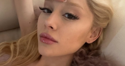 Is Ariana Grande Dating Taylor Swift's Ex? Parody Account Sparks Wild Romance Rumours With Joe Alwyn