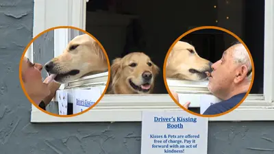 Boston woman sets up dog kissing booth, invites you to kiss her dog, ‘100% satisfaction guaranteed’
