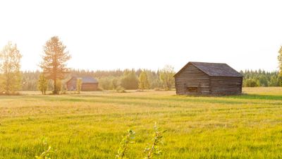 The Finnish Summer Tradition You Never Knew You Needed