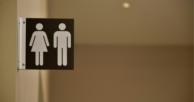 135 Labour MPs Seek to Block EHRC Guidance on Single-Sex Spaces Over Concerns for Transgender People