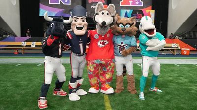 The Four NFL Teams Without a Mascot, and Why They Prefer It That Way