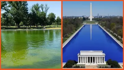 Donald Trump’s team blames Obama for algae still plaguing the reflecting pool — after a $14 million renovation failed to fix it
