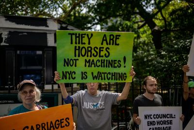 Carriage horse that died in Central Park had eaten a toxic plant earlier that day, necropsy reveals