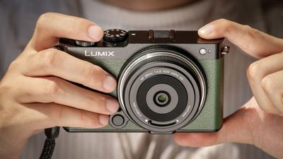 FINALLY, a lens that's actually worth buying for my Lumix S9