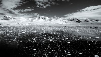 A Texas-size chunk of winter sea ice is missing from Antarctica — and it's probably not coming back