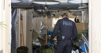 No bins out, strange lights and the sound of running water: how to weed out dodgy neighbours