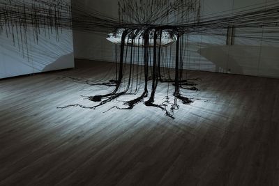 Visualising PTSD