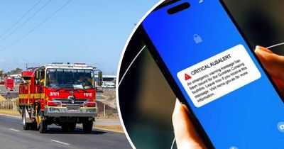 Not a scam: why every Aussie mobile phone will soon blast a loud siren