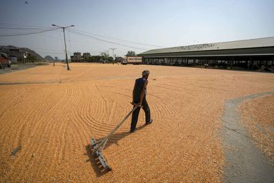 Hormuz reopening seen unleashing pent-up Gulf grain demand