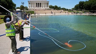 Washington's Lincoln Memorial pool turns green days after renovation