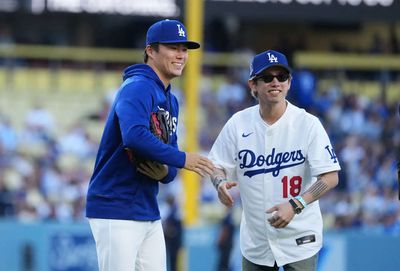 Shohei Ohtani's homer sends LA Dodgers to 1-0 win over Tampa Bay Rays