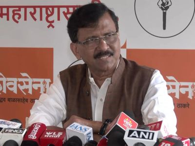 'Didn't have means to travel by rickshaw, now fly in private jets': Sanjay Raut targets party MPs amid defection buzz