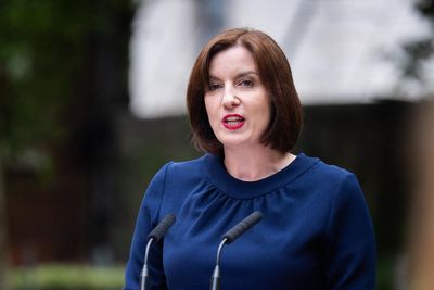 Government to apologise on behalf of the state for historical forced adoption