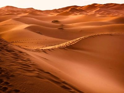 Why Saudi Arabia imports sand despite being covered by desert