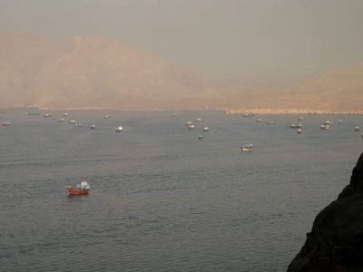 IEA sees gradual Hormuz recovery tipping into significant 2027 surplus