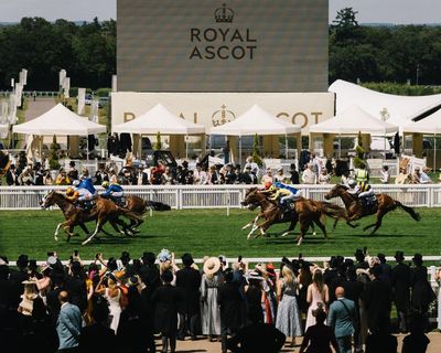 Royal Ascot 2026: Ombudsman wins Prince of Wales’s Stakes on day two – as it happened