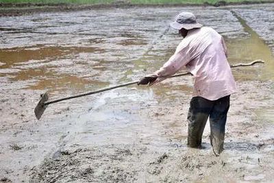 Why a strong El Niño leaves tropical commodities acutely exposed