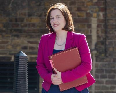 Forced adoption survivors to get full apology from UK government, says Phillipson