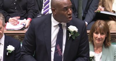 Why are MPs wearing white flowers at PMQs?