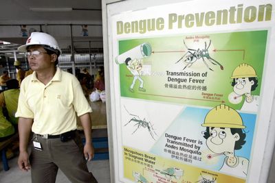 Singapore Dengue Cases Hit 2026 High as Red-Alert Clusters Spread Across Northern Neighborhoods