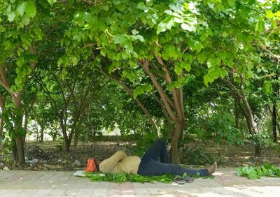 Uttar Pradesh weather update: Monsoon delay to keep Lucknow, Noida and Amethi sweltering; IMD says no relief for 4-5 days