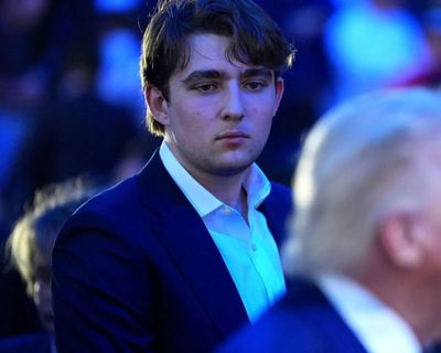 As Barron Trump's hairstyle change sparks buzz, viral UFC moment with Donald Trump steals attention. Watch video