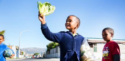 Could the roofs of low cost houses be South Africa’s secret weapon against hunger?