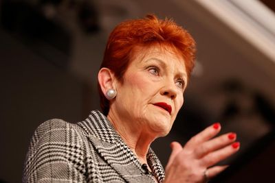 Pauline Hanson’s speech ‘shameful’ and echoed ‘rubbish’ from rightwing figures in UK and US, critics say