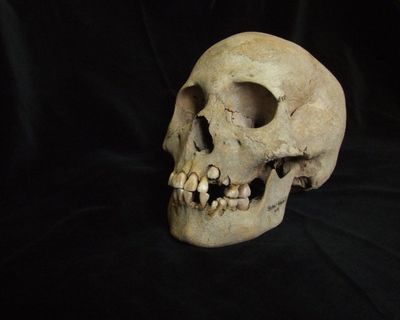 Ancient DNA provides evidence of earliest known plague outbreak